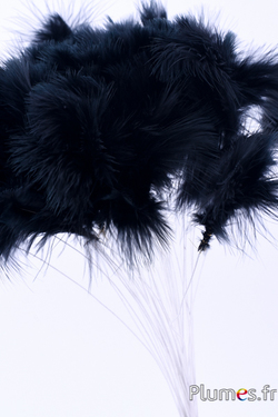 Panicule 3 plumes - hauteur 36 cm - noir